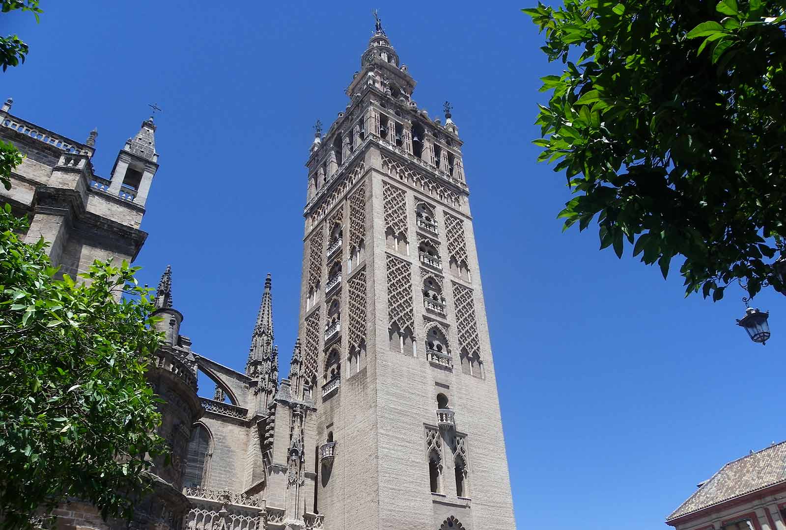 bares de tapas por la catedral