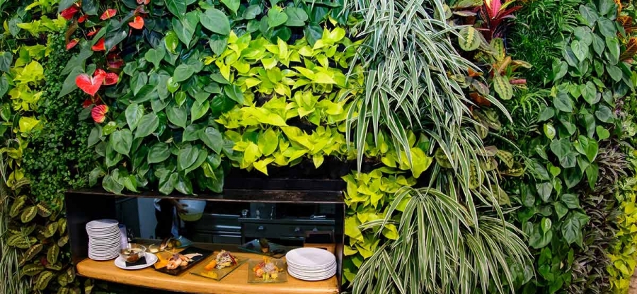 best cheap restaurants in seville